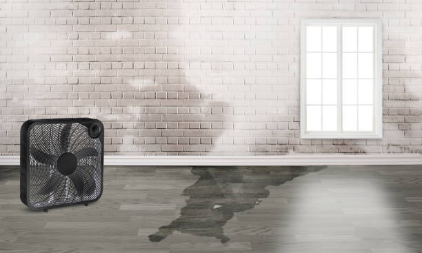 Best Sewage cleanup and water damage restoration  in Laughlin Af, TX