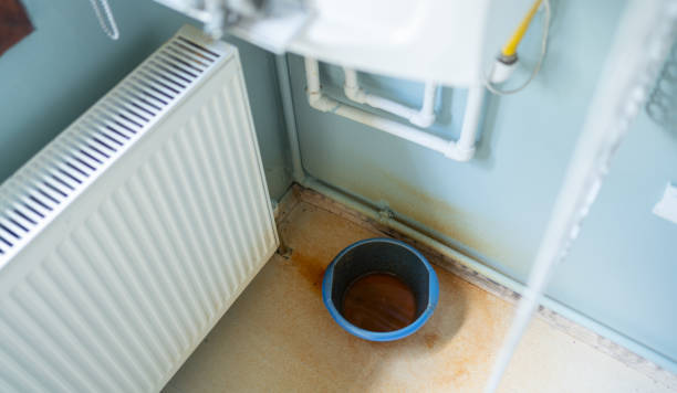 Best Water damage restoration mold remediation  in Laughlin Af, TX
