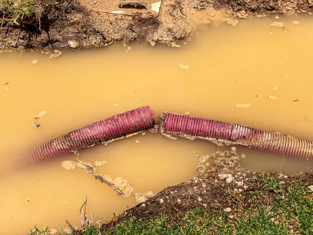 Best Basement water damage restoration  in Laughlin Af, TX