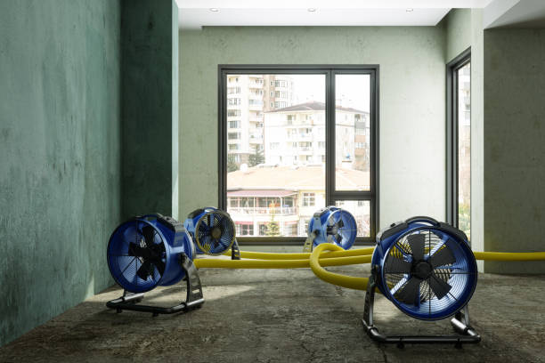 Best Mold removal after water damage  in Laughlin Af, TX